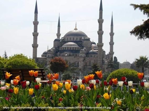 Tulipanes parque Sultanahmet